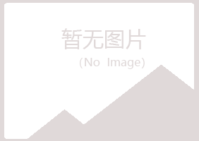 鹤岗兴山平庸咨询有限公司